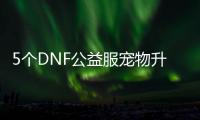 5个DNF公益服宠物升级小技巧