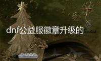 dnf公益服徽章升级的秘密技巧