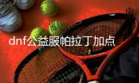dnf公益服帕拉丁加点技巧汇总